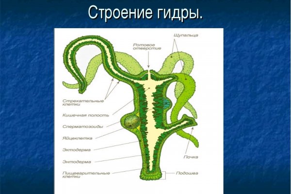 Ссылка на сайт кракен в тор